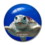 USA America South Padre Island Turtle 3D Fridge Magnet Crystal Glass