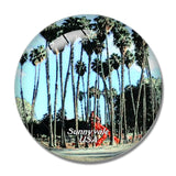 USA America Sunnyvale Las Palmas Park 3D Fridge Magnet Crystal Glass