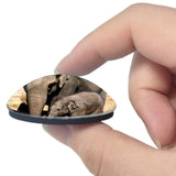 USA America Syracuse Rosamond Gifford Zoo 3D Fridge Magnet Crystal Glass