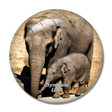 USA America Syracuse Rosamond Gifford Zoo 3D Fridge Magnet Crystal Glass