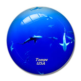 USA America Tempe Arizona Aquarium 3D Fridge Magnet Crystal Glass