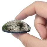 USA America Town of Jackson Salt Lake 3D Fridge Magnet Crystal Glass