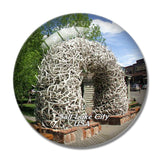USA America Town of Jackson Salt Lake 3D Fridge Magnet Crystal Glass