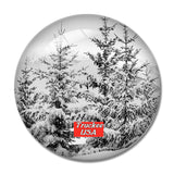 USA America Truckee 3D Fridge Magnet Crystal Glass