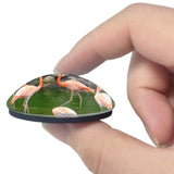 USA America Tyler Flamenco Caldwell Zoo 3D Fridge Magnet Crystal Glass