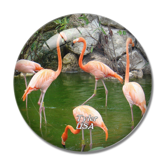 USA America Tyler Flamenco Caldwell Zoo 3D Fridge Magnet Crystal Glass