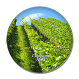 USA America Vineyard Loudoun 3D Fridge Magnet Crystal Glass