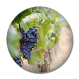 USA America Vineyard Napa Valley 3D Fridge Magnet Crystal Glass