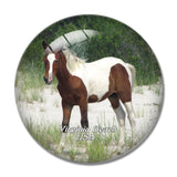 USA America Virginia Beach Horse 3D Fridge Magnet Crystal Glass