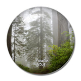 USA America Visalia Sequoia National Park 3D Fridge Magnet Crystal Glass