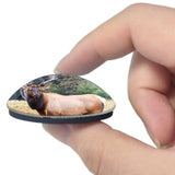 USA America Walden Elk Colorado 3D Fridge Magnet Crystal Glass