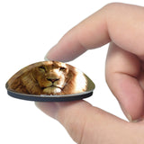 USA America Wichita Sedgwick County Zoo 3D Fridge Magnet Crystal Glass