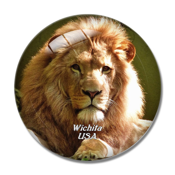 USA America Wichita Sedgwick County Zoo 3D Fridge Magnet Crystal Glass
