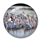USA America Willows Wildlife Refuge 3D Fridge Magnet Crystal Glass