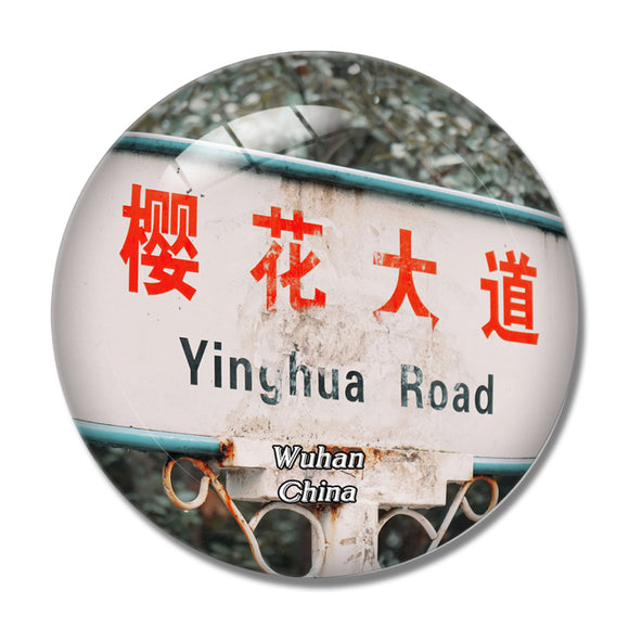 China Wuhan Cherry Blossom Avenue 3D Fridge Magnet Crystal Glass