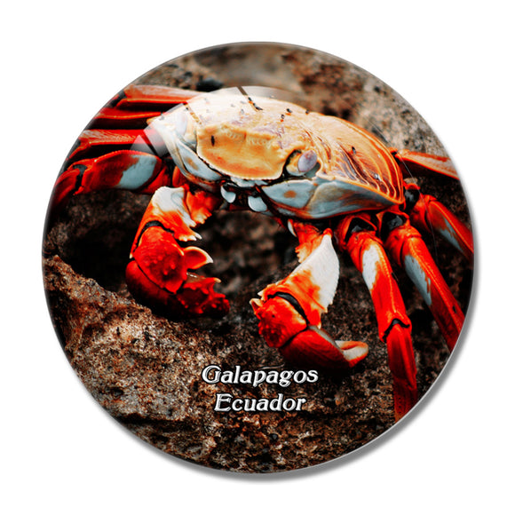 Ecuador Crab Galapagos 3D Fridge Magnet Crystal Glass