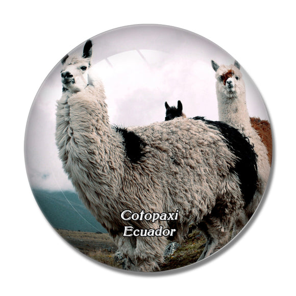 Ecuador Lama Cotopaxi 3D Fridge Magnet Crystal Glass