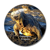 Ecuador Marine Lizard Galapagos 3D Fridge Magnet Crystal Glass