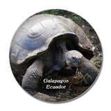 Ecuador Tortoise Giant Galapagos Turtle Islands 3D Fridge Magnet Crystal Glass