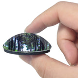 Italy Cecina Forest 3D Fridge Magnet Crystal Glass