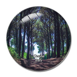 Italy Cecina Forest 3D Fridge Magnet Crystal Glass