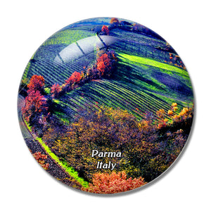 Italy Parma Langhirano Vineyards 3D Fridge Magnet Crystal Glass