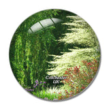 UK England Colchester The Beth Chatto Gardens 3D Fridge Magnet Crystal Glass