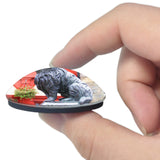 UK England Edinburgh Greyfriars Bobby 3D Fridge Magnet Crystal Glass