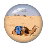 Desert Camel Douz Tunisia 3D Fridge Magnet Crystal Glass