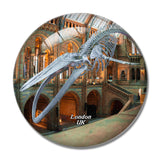 UK England London Natural History Museum 3D Fridge Magnet Crystal Glass