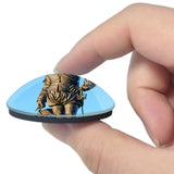 UK England Plymouth Statue Francis-Drake 3D Fridge Magnet Crystal Glass