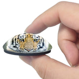 Alexandria Zoological Park Louisiana USA 3D Fridge Magnet Crystal Glass