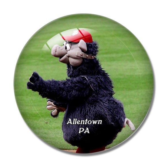 Allentown Baseball Park Pennsylvania USA 3D Fridge Magnet Crystal Glass