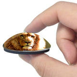 Alpine Lion Zoo California USA 3D Fridge Magnet Crystal Glass