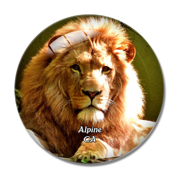 Alpine Lion Zoo California USA 3D Fridge Magnet Crystal Glass