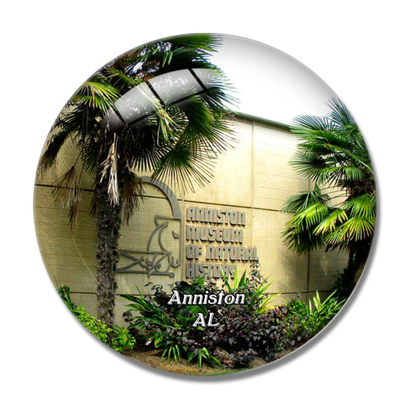 Anniston Museum Alabama USA 3D Fridge Magnet Crystal Glass