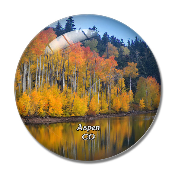 Aspen Fall Colorado USA 3D Fridge Magnet Crystal Glass