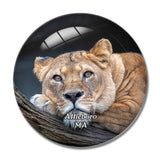 Attleboro Zoo Massachusetts USA 3D Fridge Magnet Crystal Glass