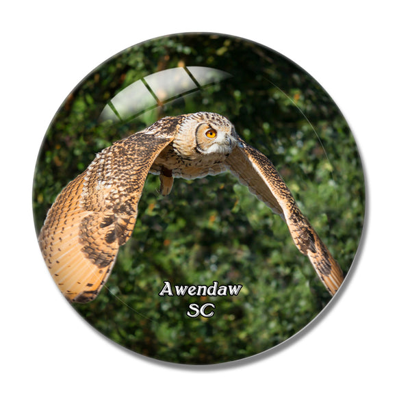 Awendaw Birds of Prey South Carolina USA 3D Fridge Magnet Crystal Glass