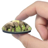 Elephant Moremi Wildlife Reserve Botswana 3D Fridge Magnet Crystal Glass