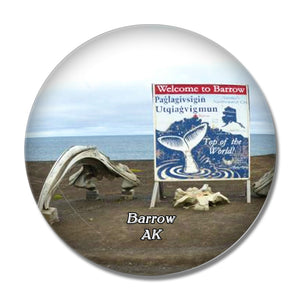 Barrow Beach Alaska USA 3D Fridge Magnet Crystal Glass