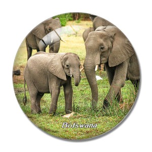 Elephant Moremi Wildlife Reserve Botswana 3D Fridge Magnet Crystal Glass