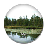 Bellair Grass River Natural Area Michigan USA 3D Fridge Magnet Crystal Glass