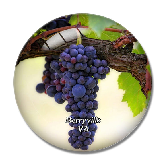 Berryville Vineyard Virginia USA 3D Fridge Magnet Crystal Glass