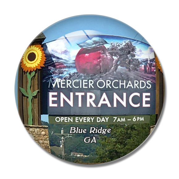 Blue Ridge Mercier Orchards Georgia USA 3D Fridge Magnet Crystal Glass