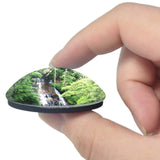 Brevard Connestee Falls North Carolina USA 3D Fridge Magnet Crystal Glass