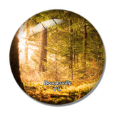 Brooksville Withlacoochee State Forest Florida USA 3D Fridge Magnet Crystal Glass