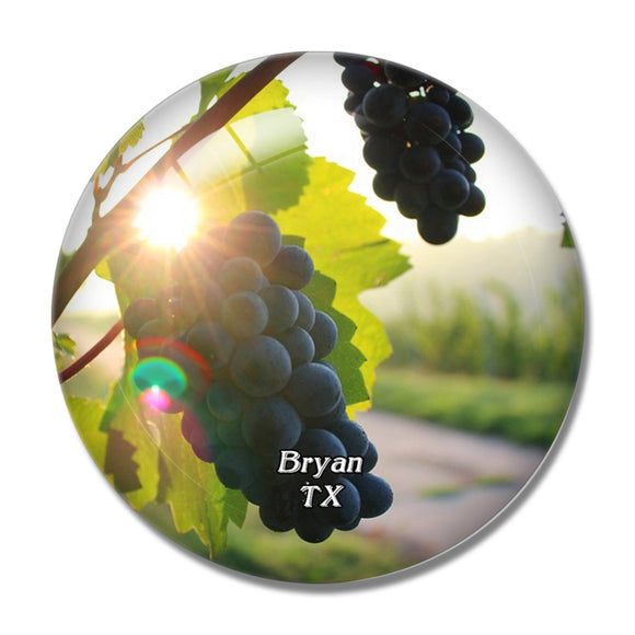 Bryan Winery Texas USA 3D Fridge Magnet Crystal Glass