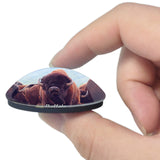 Buffalo Oklahoma Bison USA 3D Fridge Magnet Crystal Glass