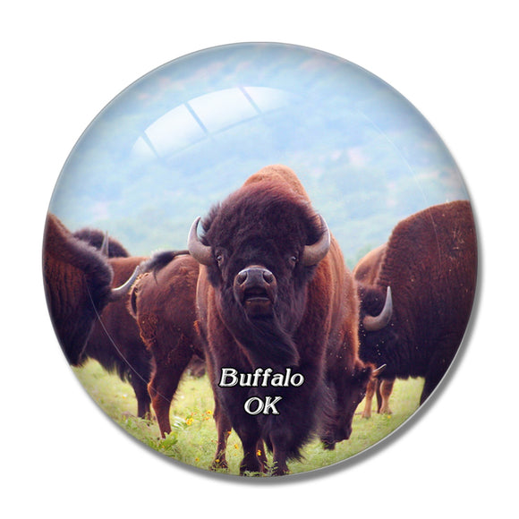 Buffalo Oklahoma Bison USA 3D Fridge Magnet Crystal Glass